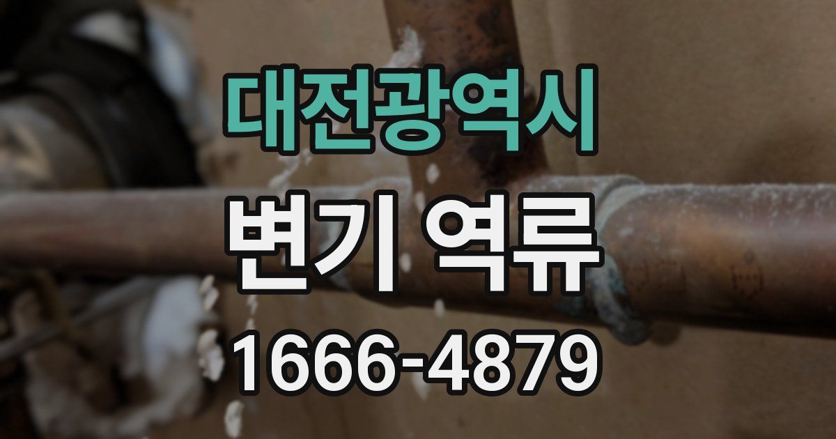 대전광역시 변기 역류