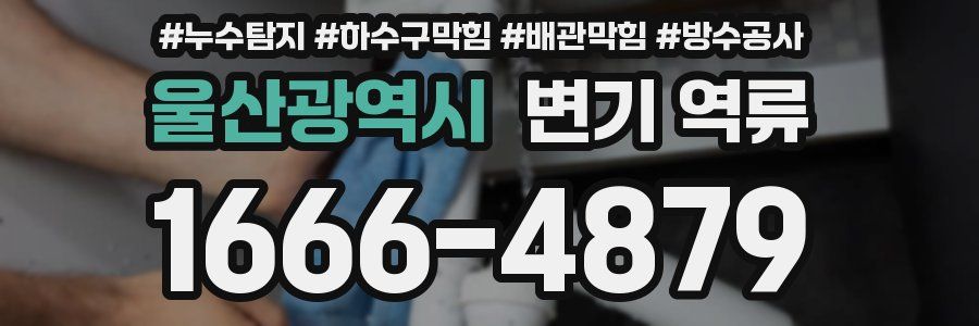 울산광역시 변기 역류
