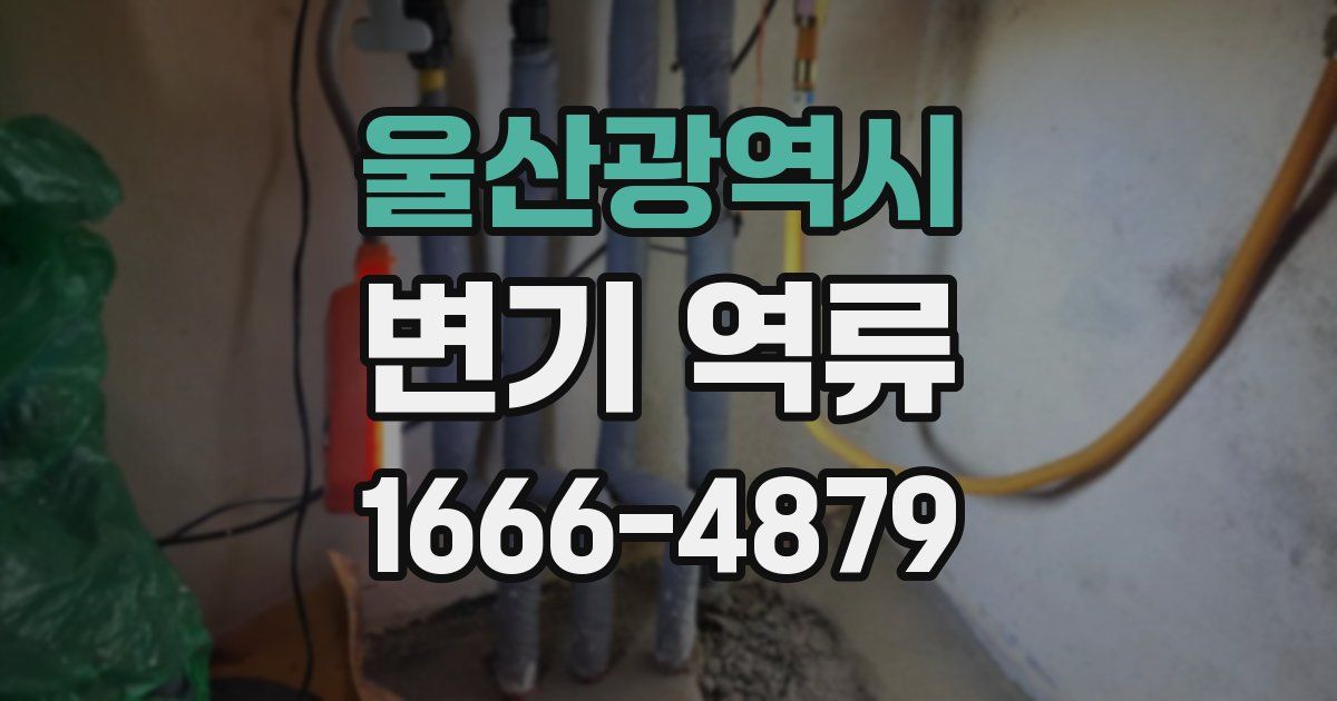 울산광역시 변기 역류
