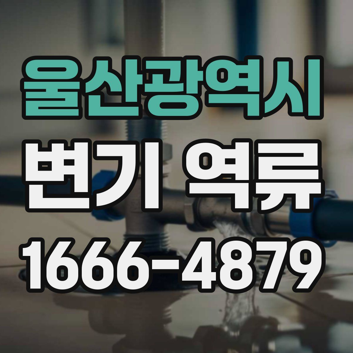 울산광역시 변기 역류