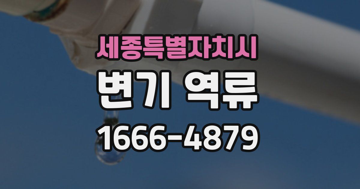 세종특별자치시 변기 역류