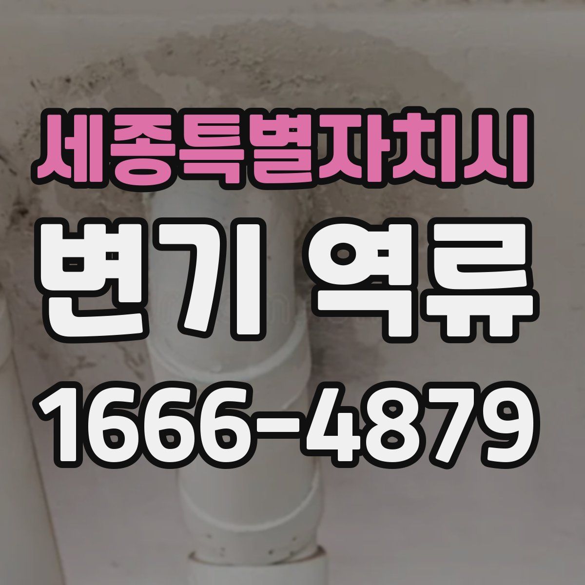 세종특별자치시 변기 역류