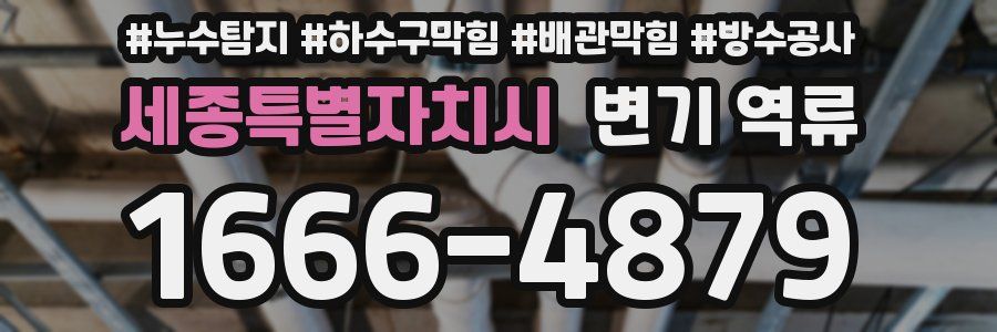 세종특별자치시 변기 역류