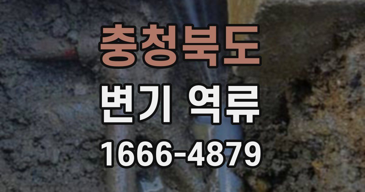 충청북도 변기 역류