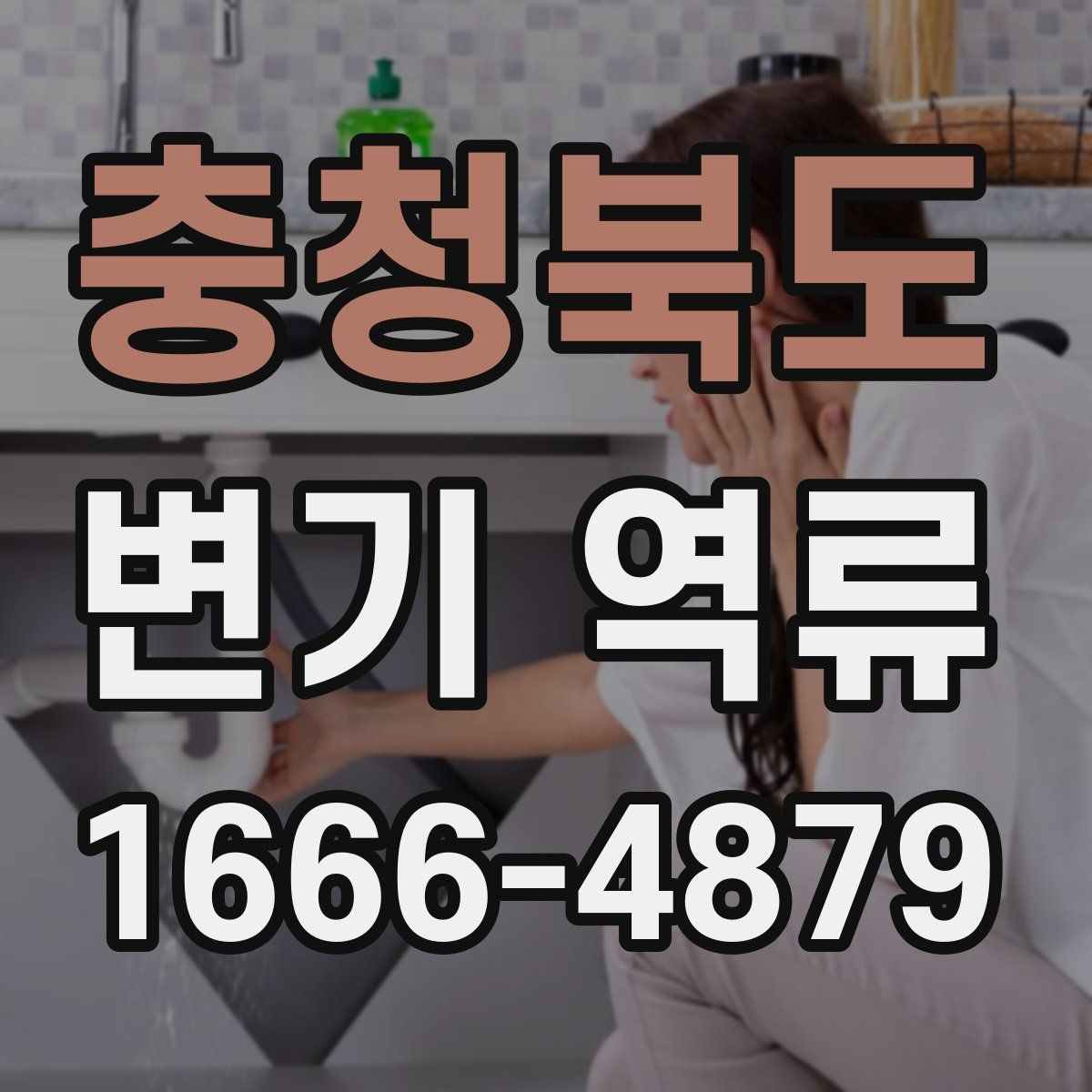 충청북도 변기 역류