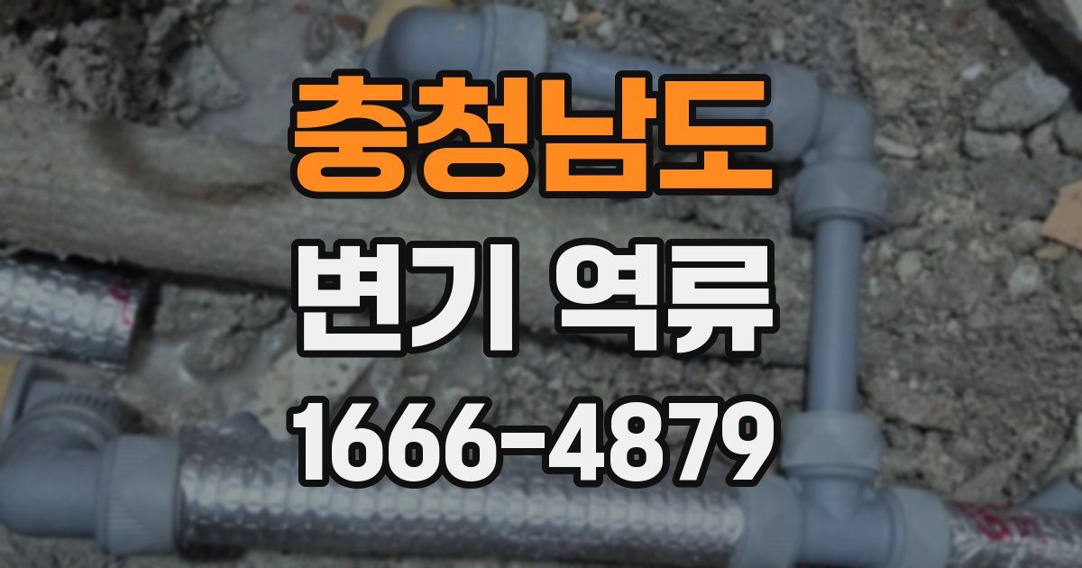 충청남도 변기 역류