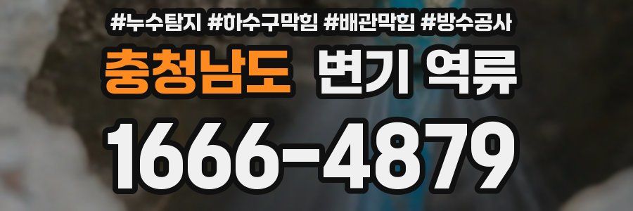 충청남도 변기 역류