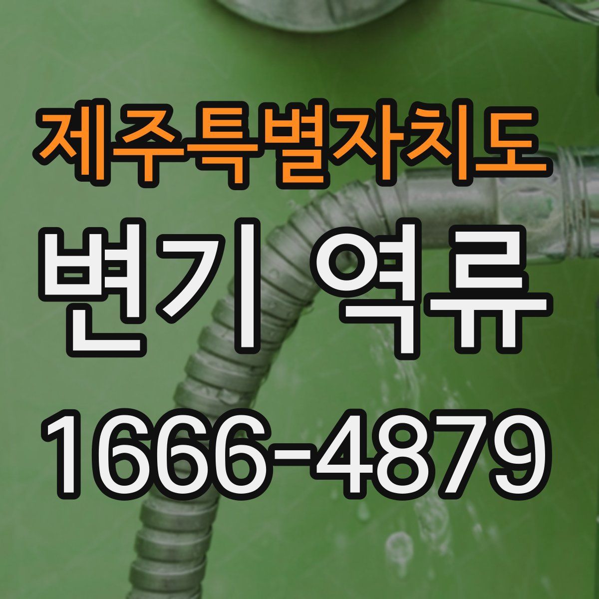 제주특별자치도 변기 역류
