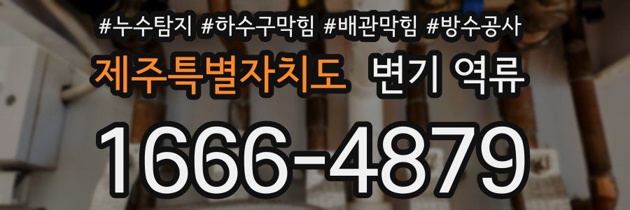 제주특별자치도 변기 역류