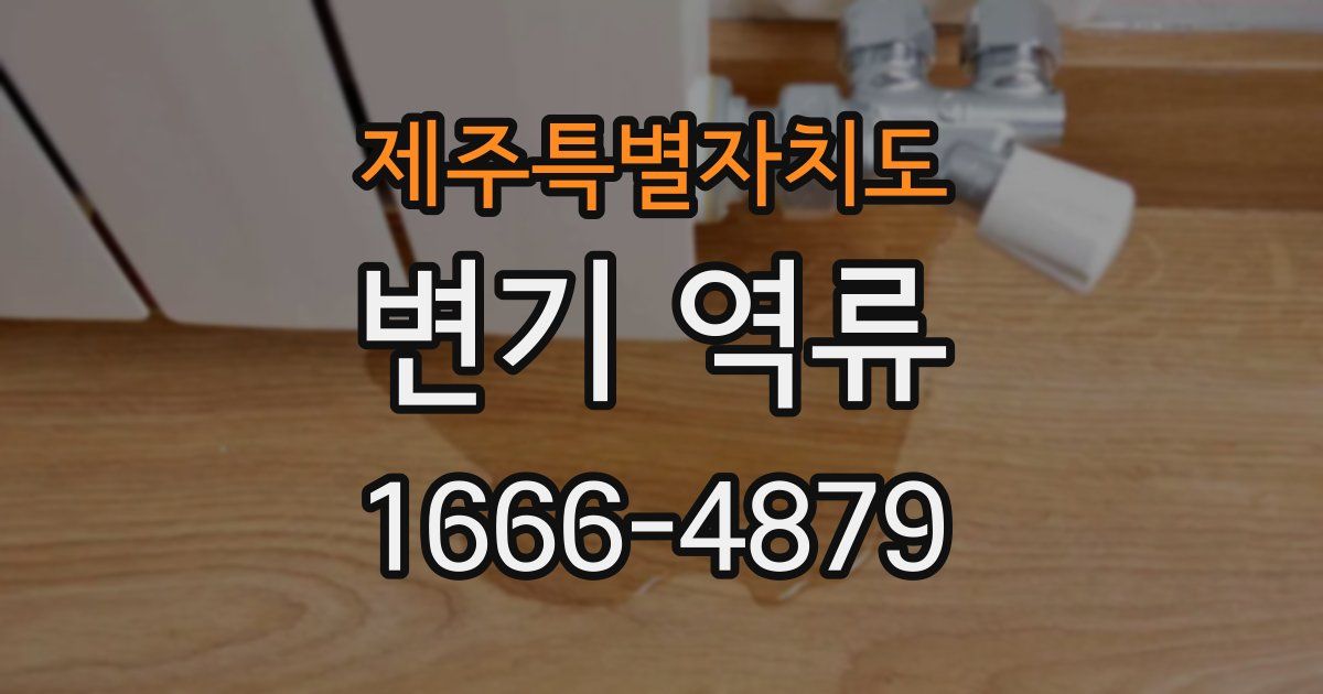 제주특별자치도 변기 역류