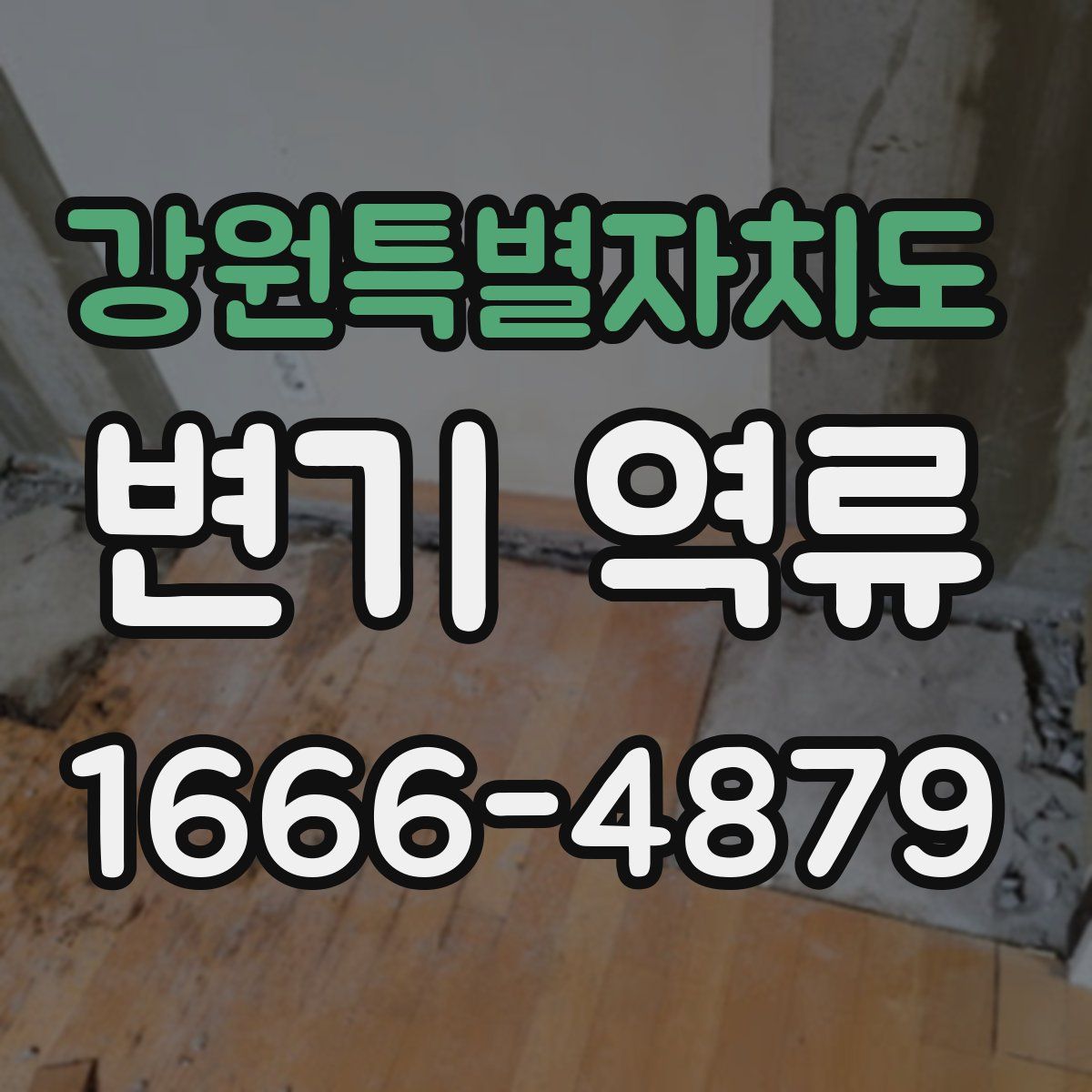 강원특별자치도 변기 역류