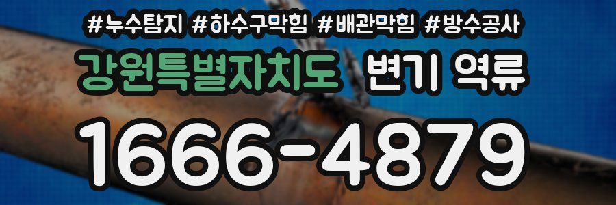 강원특별자치도 변기 역류