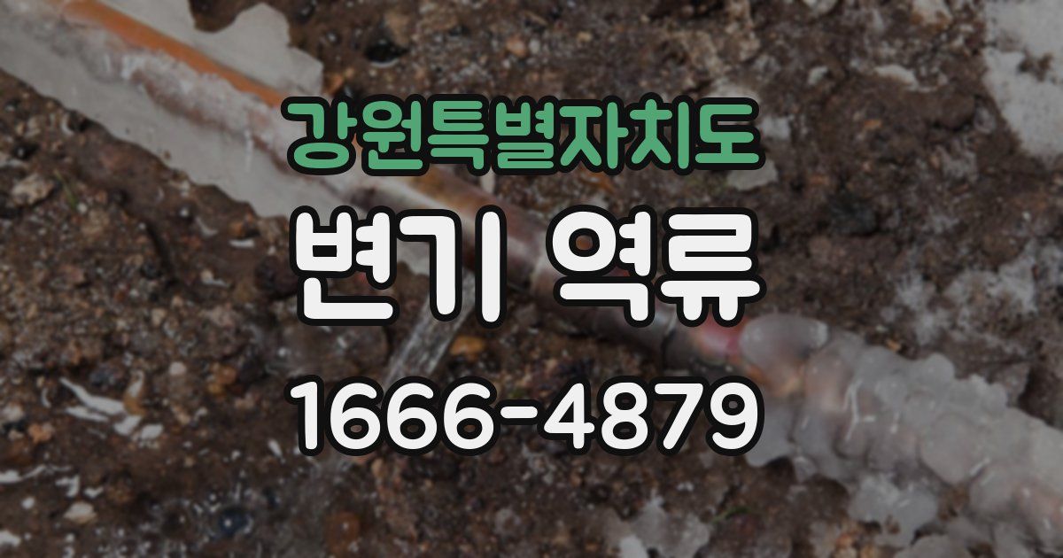 강원특별자치도 변기 역류