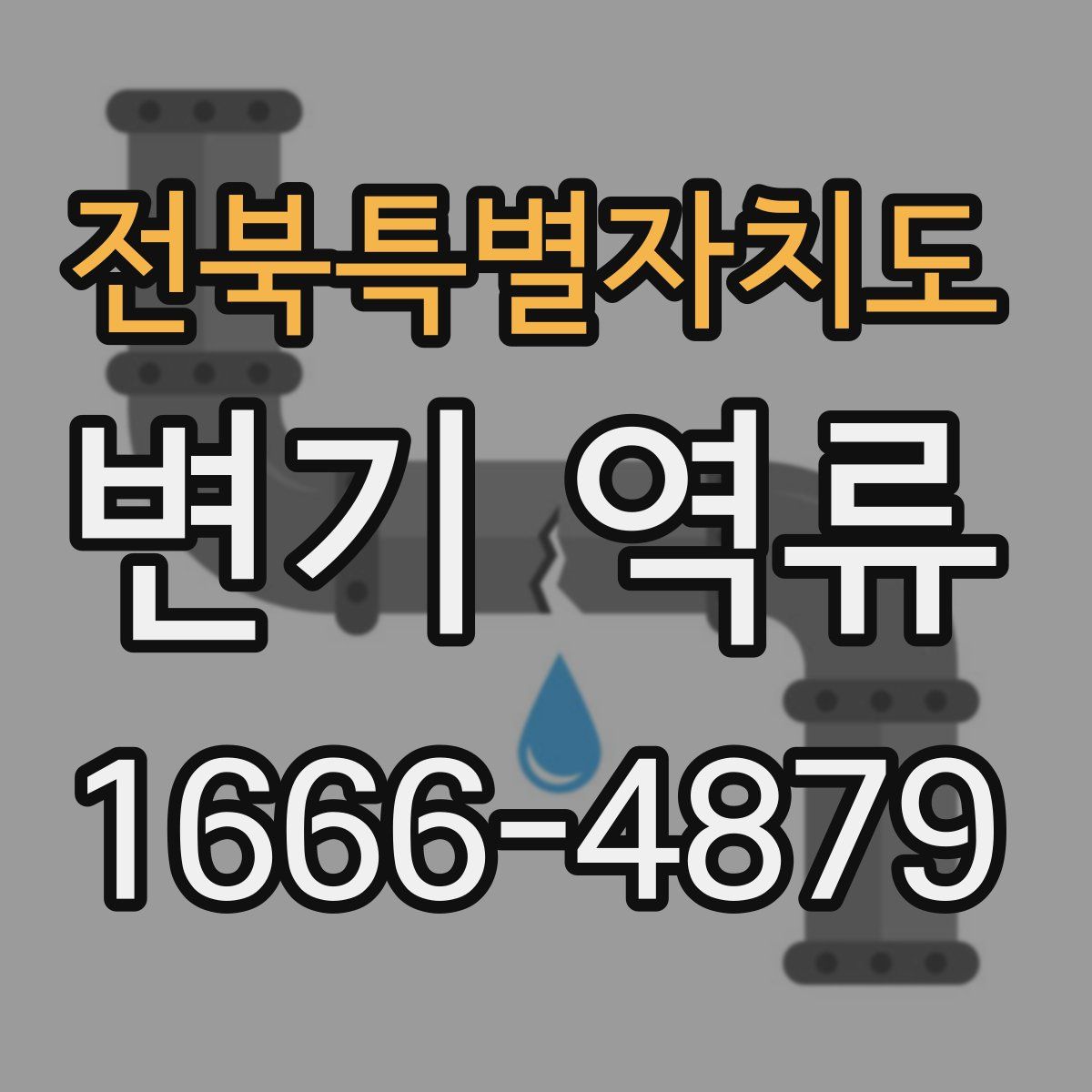 전북특별자치도 변기 역류
