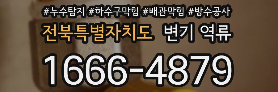 전북특별자치도 변기 역류