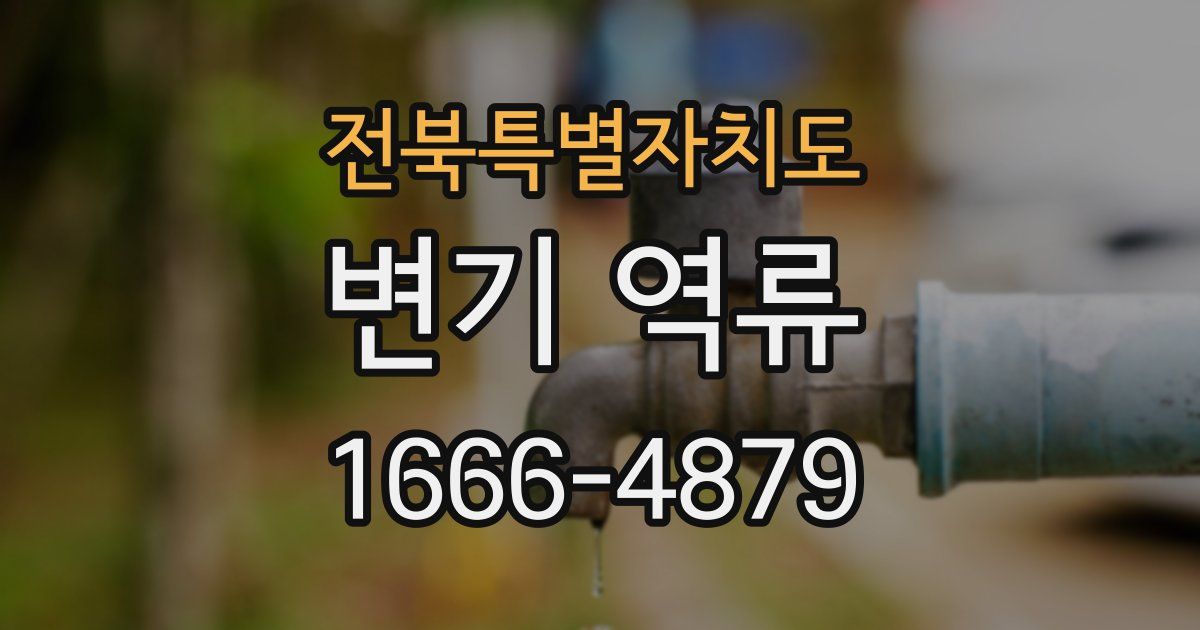 전북특별자치도 변기 역류