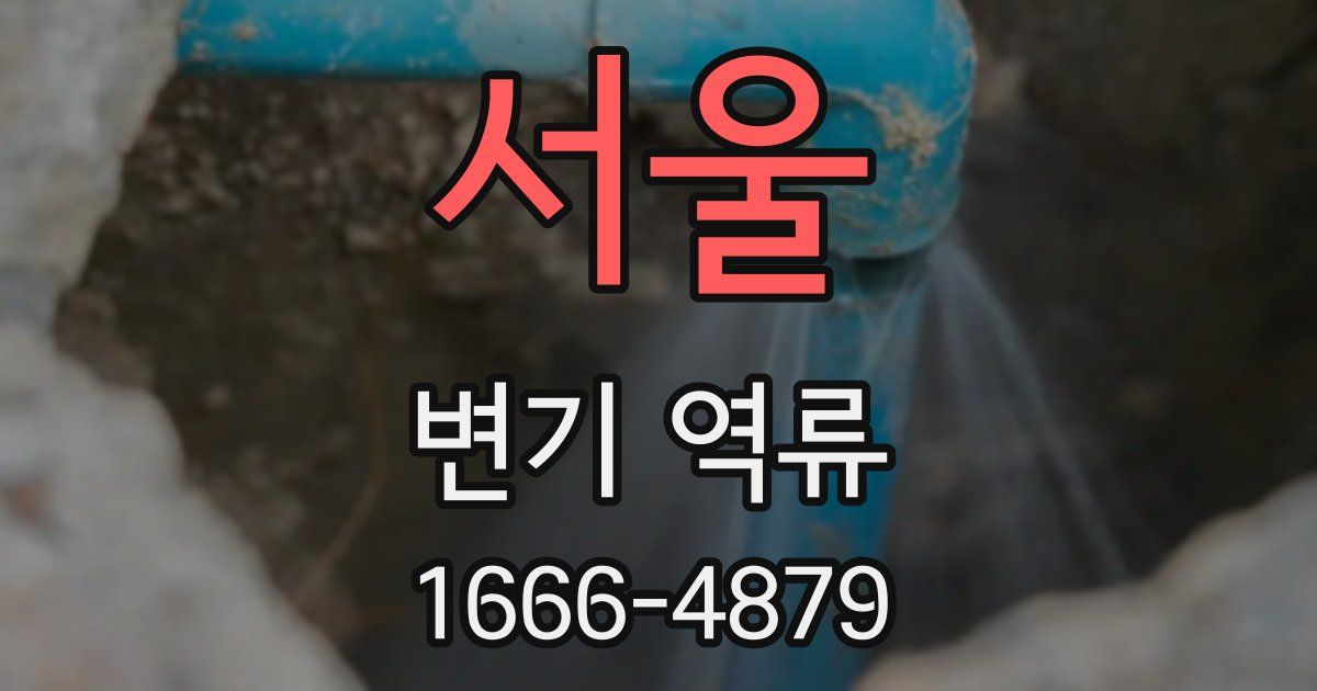 서울 변기 역류