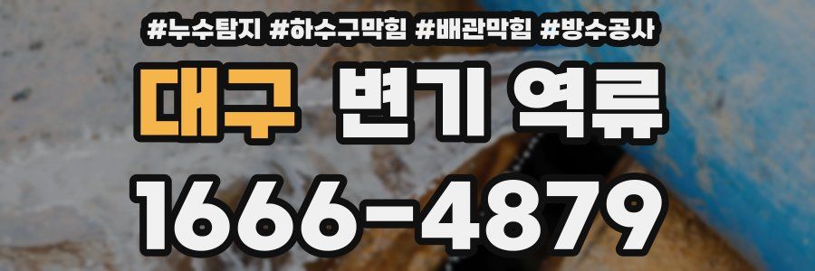 대구 변기 역류