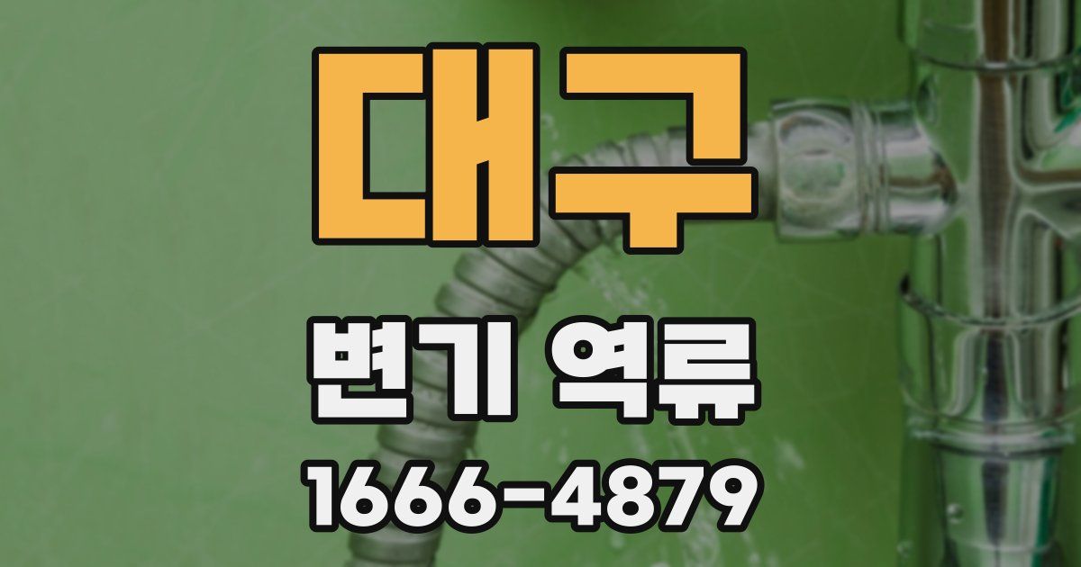 대구 변기 역류