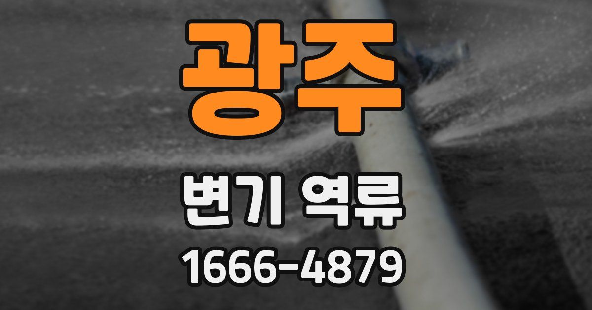광주 변기 역류
