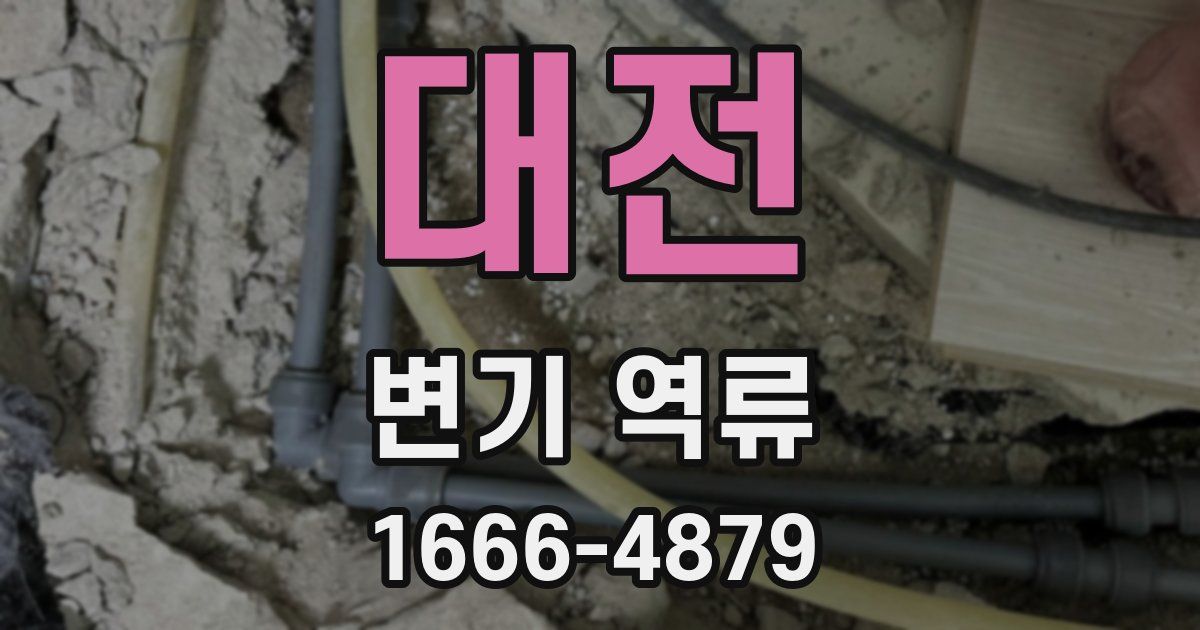 대전 변기 역류
