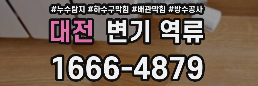 대전 변기 역류