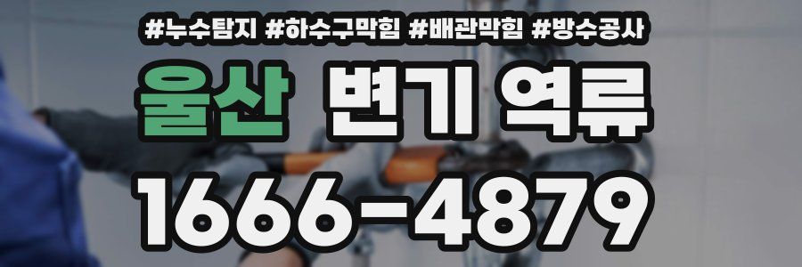 울산 변기 역류