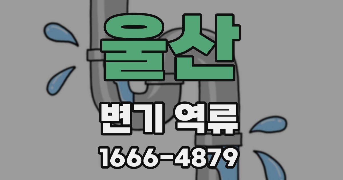 울산 변기 역류