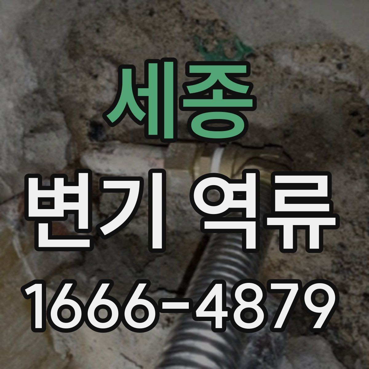 세종 변기 역류 물 사용 후 바로 올라오는 현상 해석