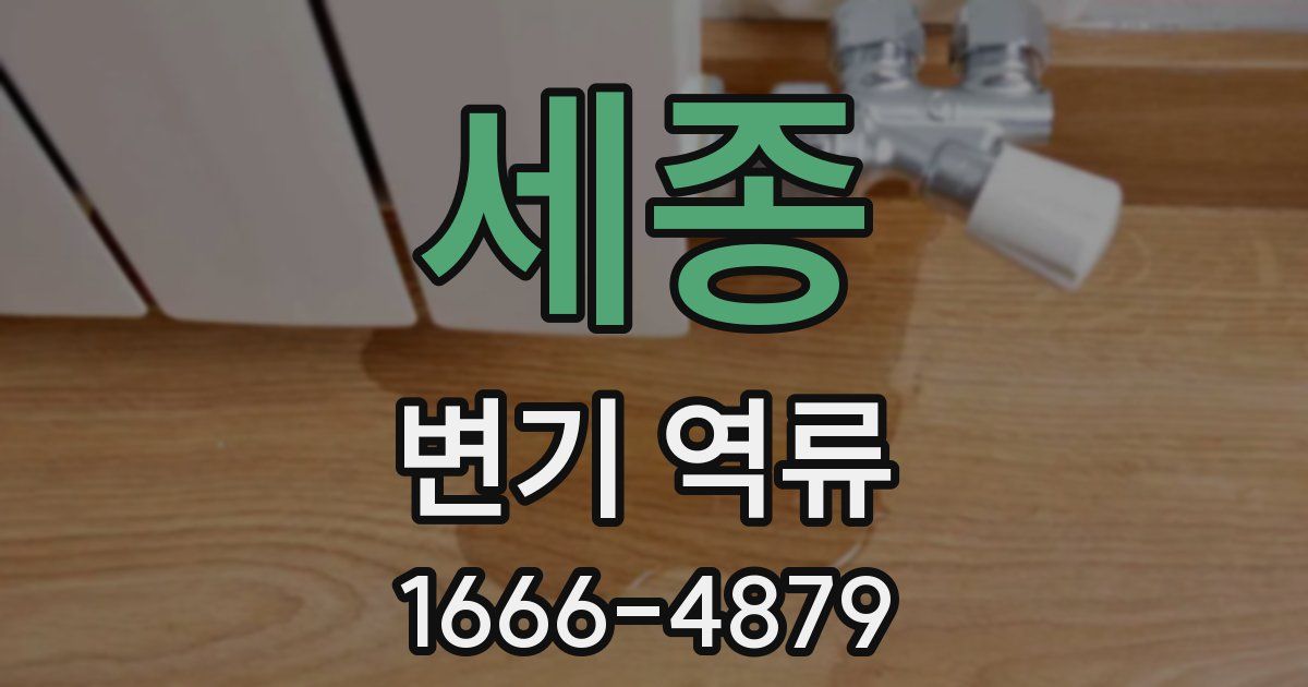 세종 변기 역류