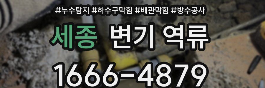 세종 변기 역류