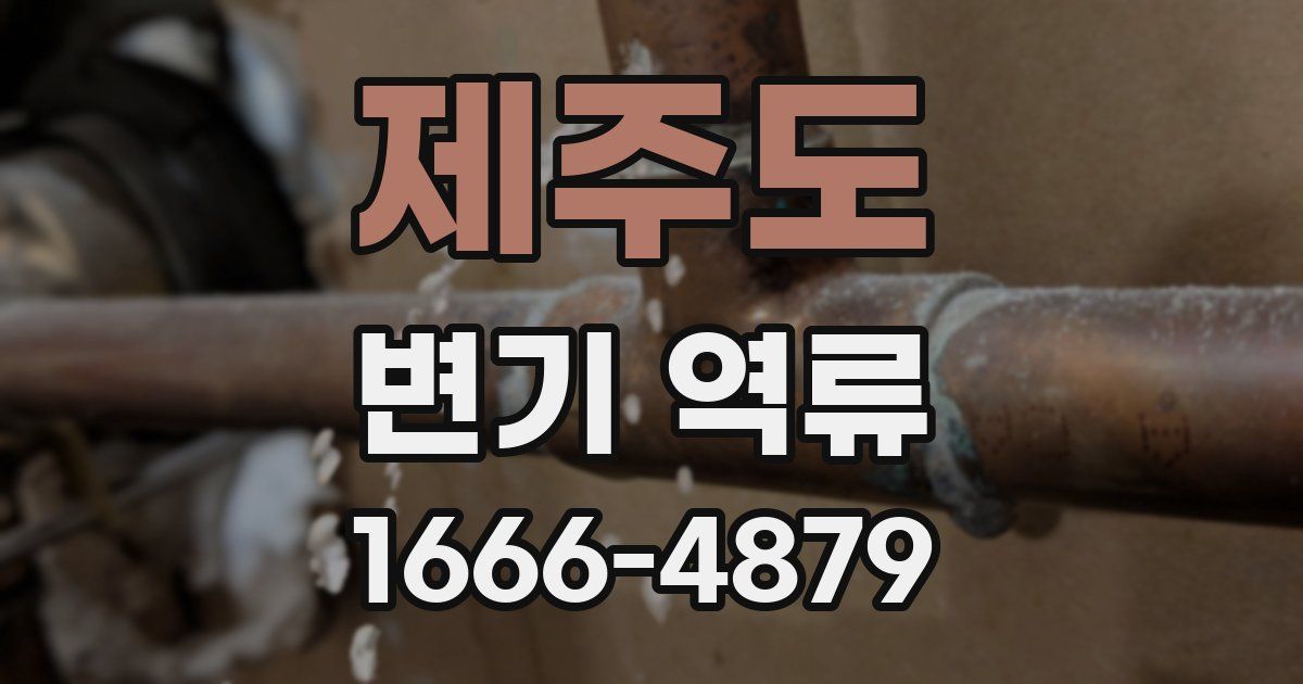 제주도 변기 역류