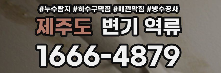 제주도 변기 역류