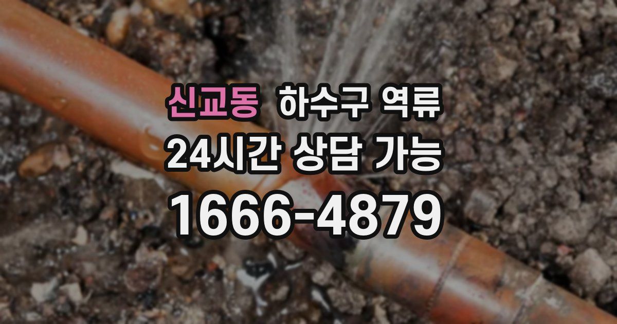 신교동 하수구 역류