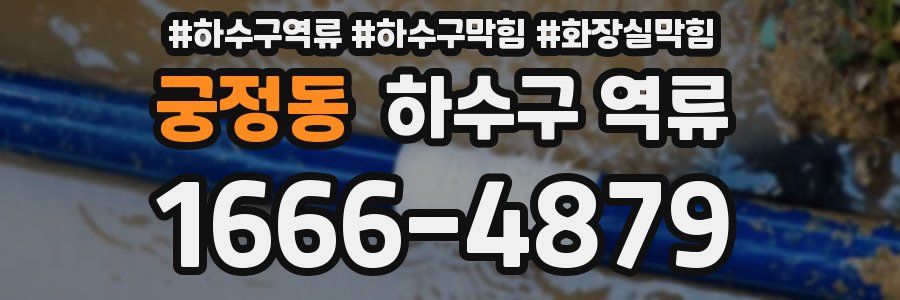 궁정동 하수구 역류