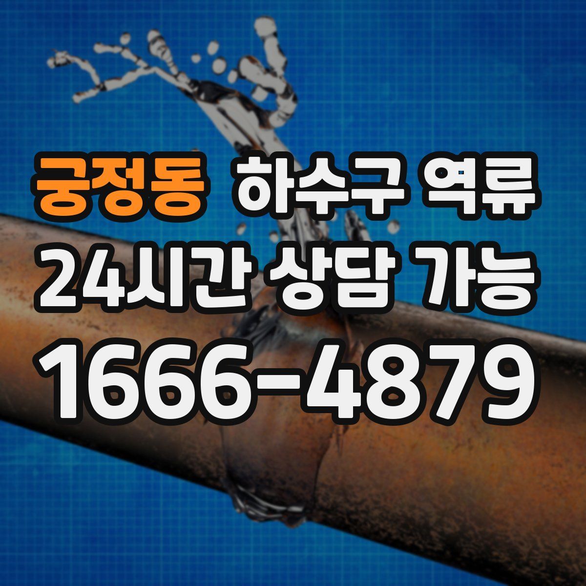 궁정동 하수구 역류