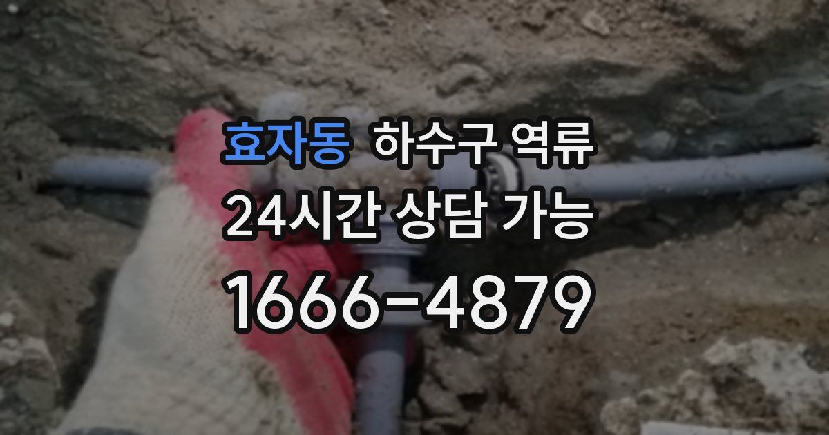 효자동 하수구 역류