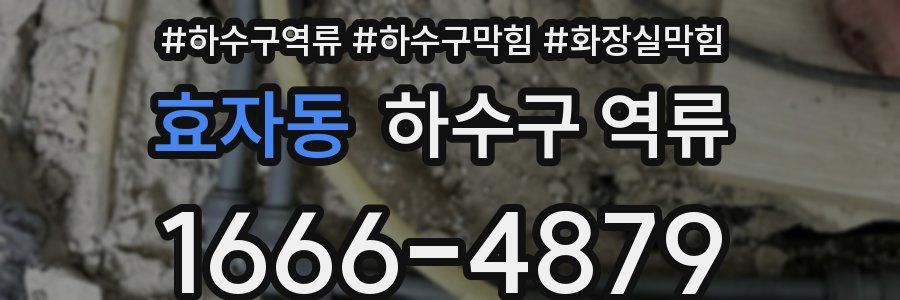 효자동 하수구 역류