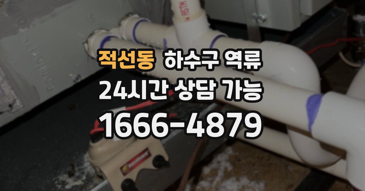 적선동 하수구 역류