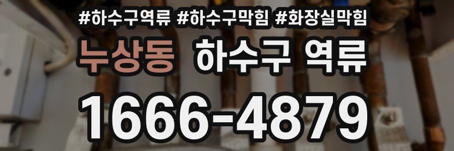 누상동 하수구 역류