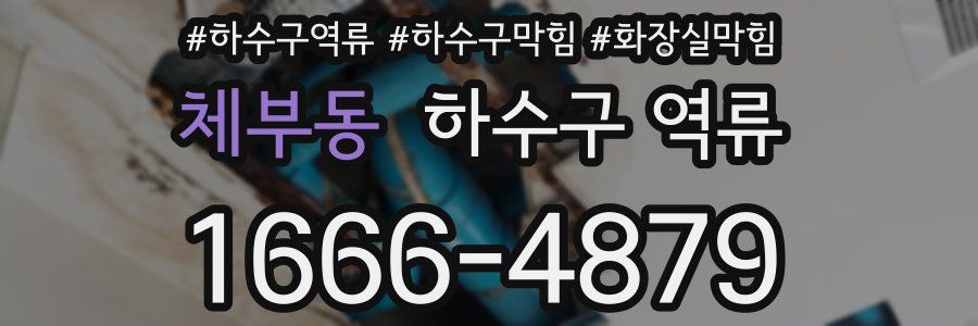 체부동 하수구 역류