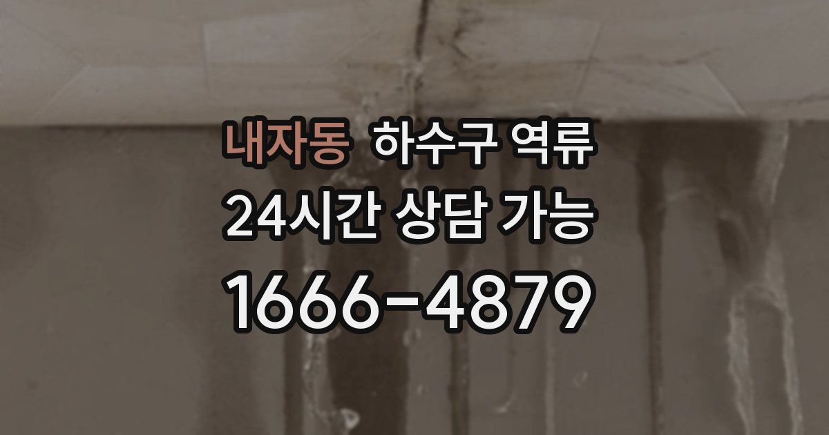 내자동 하수구 역류
