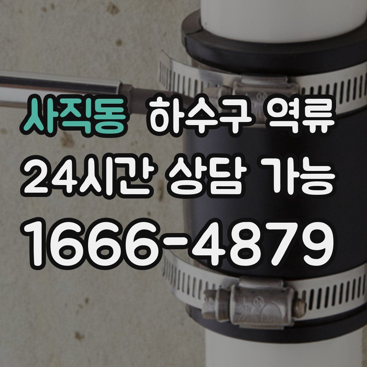 사직동 하수구 역류