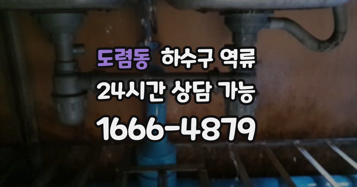 도렴동 하수구 역류