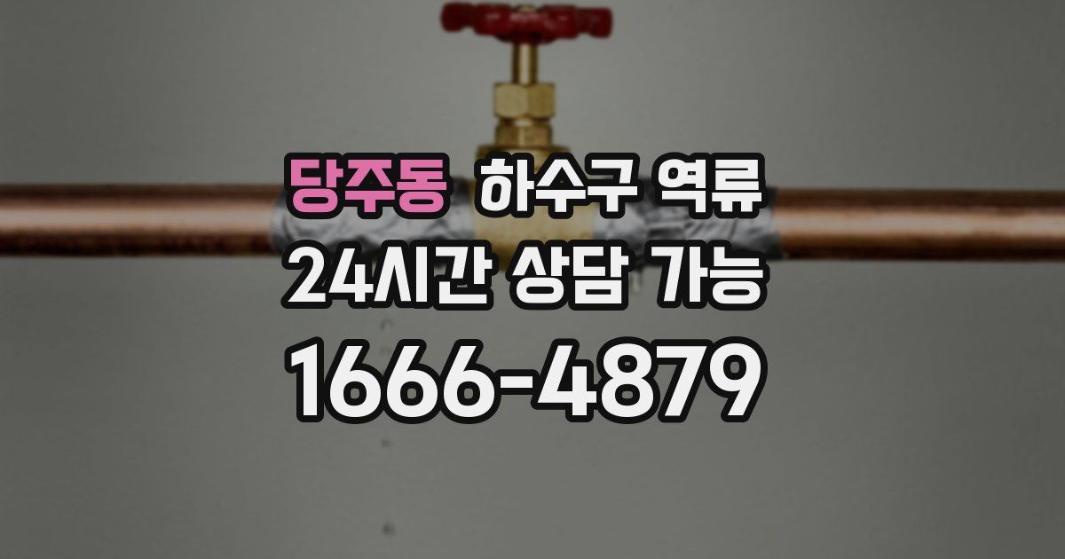 당주동 하수구 역류