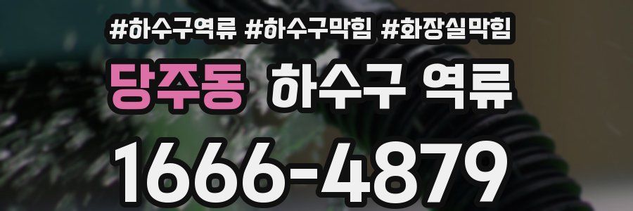 당주동 하수구 역류