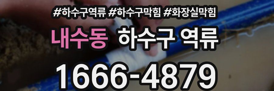 내수동 하수구 역류