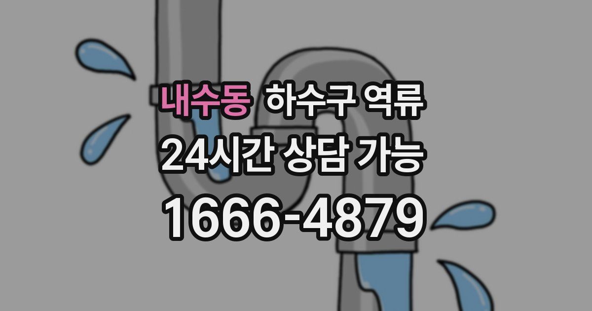 내수동 하수구 역류