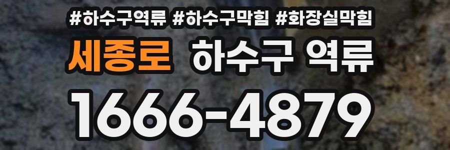 세종로 하수구 역류