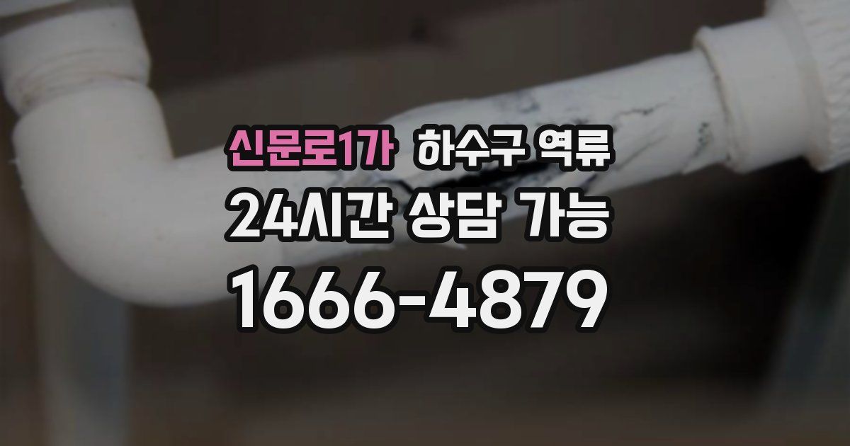 신문로1가 하수구 역류